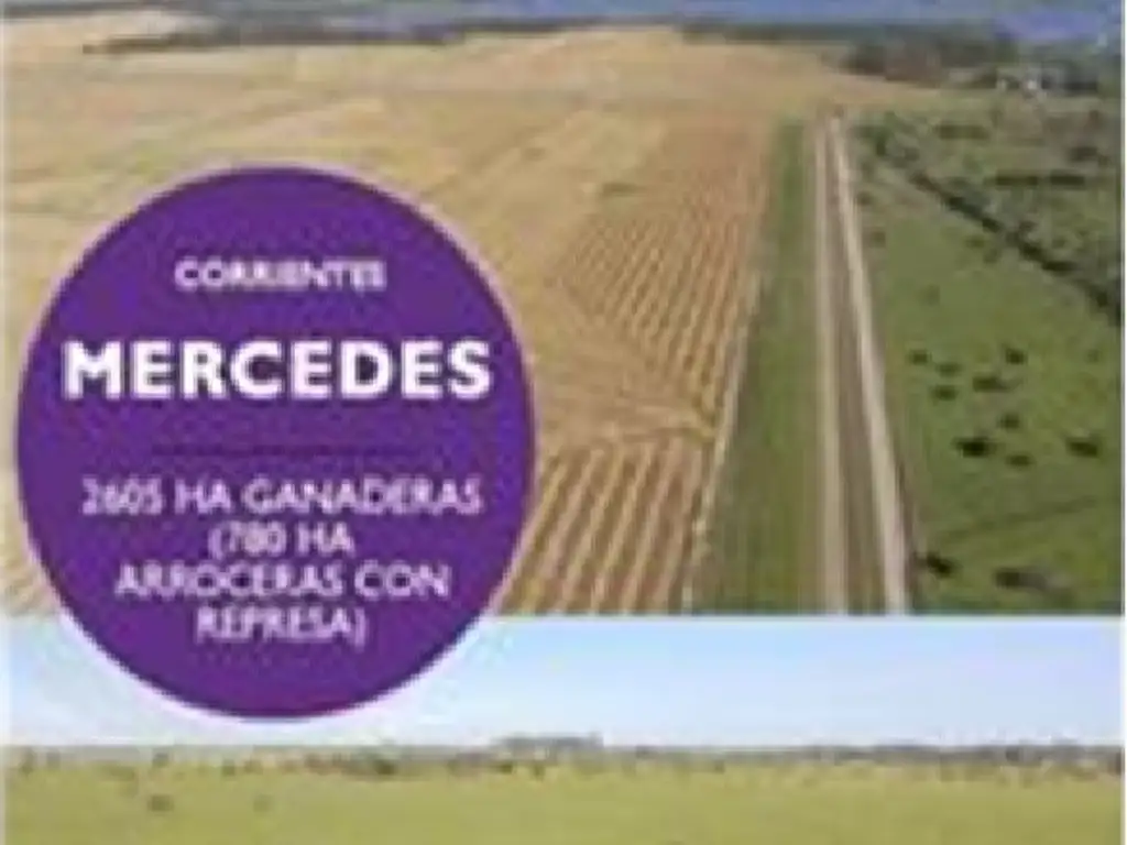 PROPIEDADES RURALES - MIXTO - MERCEDES