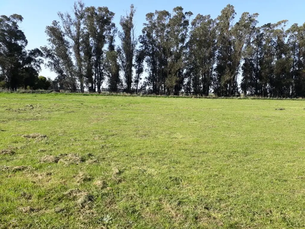 casa en 4 lotes en Necochea, Costa Atlántica.