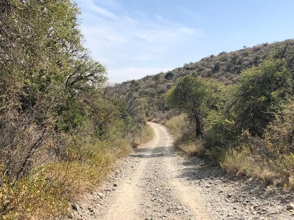 Excelente fracción de 5 Ha con entrada sobre ruta