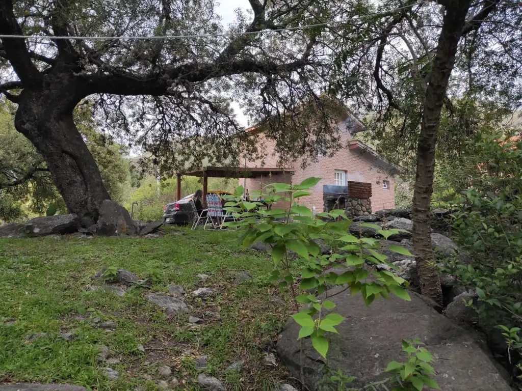 Excelente Campo De 40 Hectareas, Villa Paraancito, Acceso Vehicular, Luz, Ganadero O Plantacion