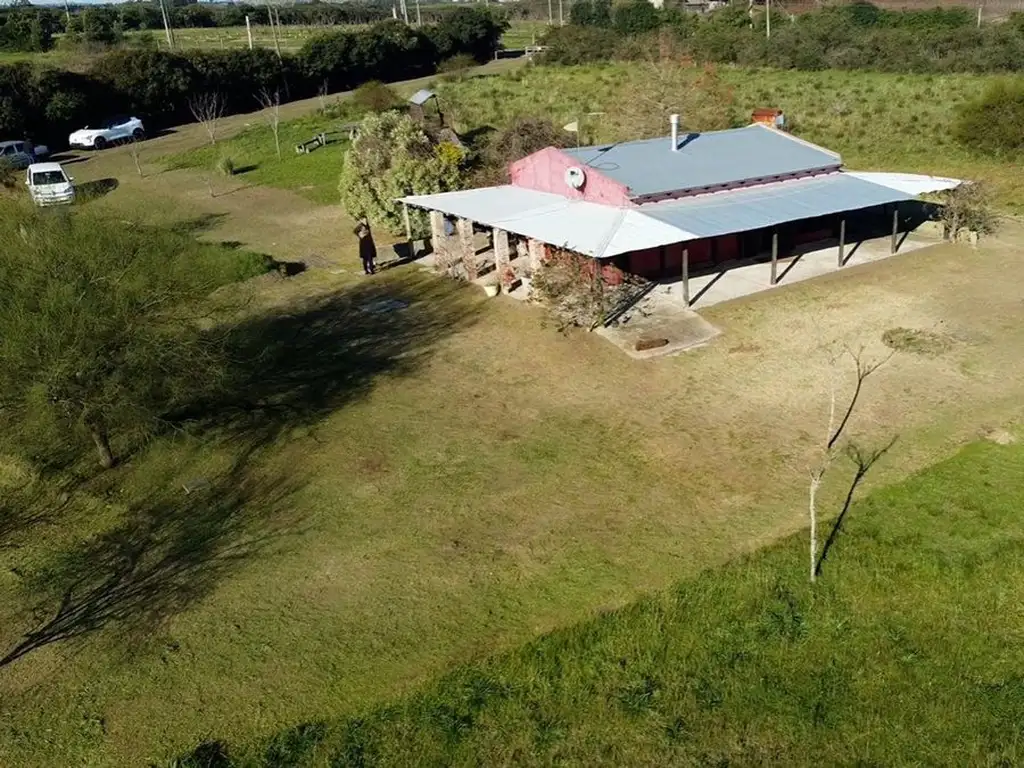 VENTA CHACRA MELILLA 3 HECTAREAS, DOS CASAS Y APTO