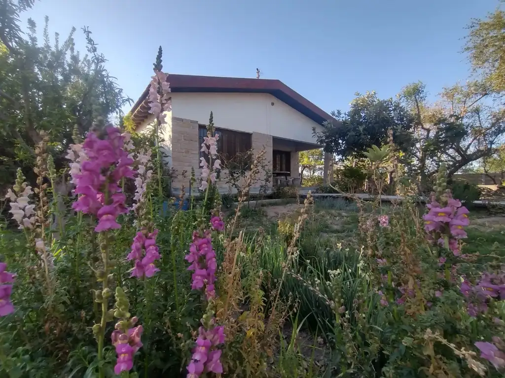 Casa a Reciclar - 6 ambientes - La Primavera,Gllén