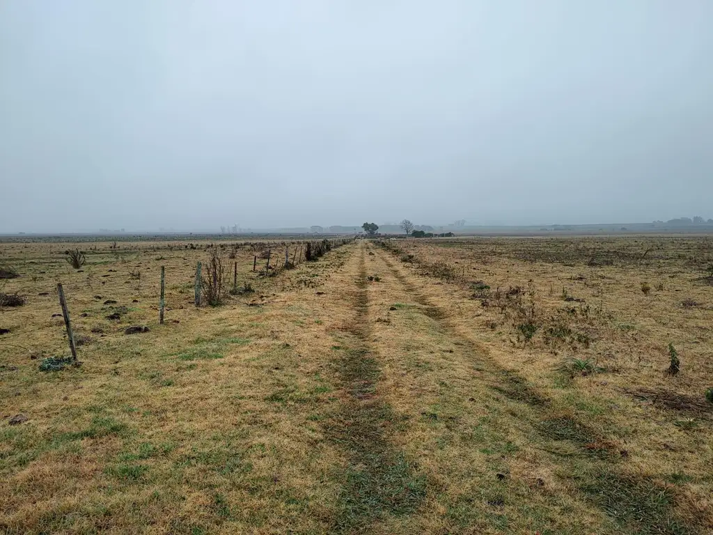 Campo en Colonia El Potrero