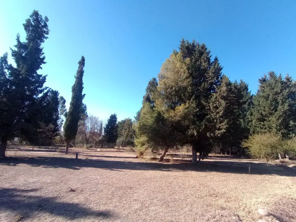 Se vende lote en Vistalba, Lujan de cuyo