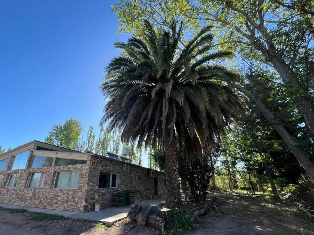 Finca en venta. Mendoza, con casa y 4 duplex.