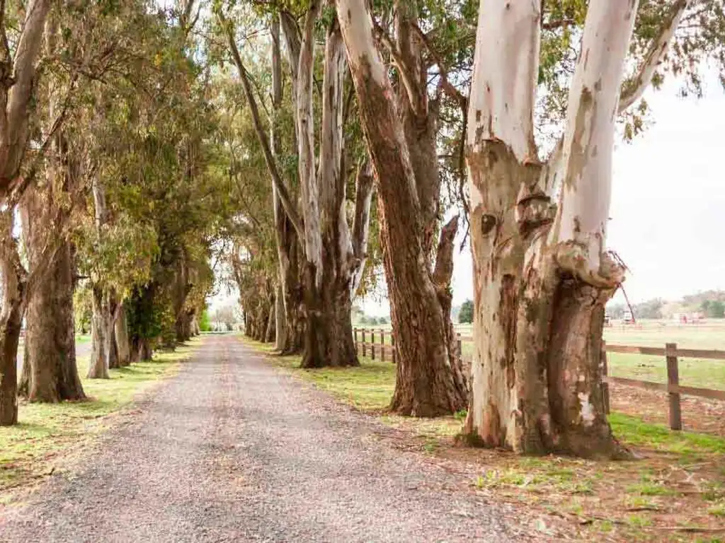 VENTA LOTE EL CAMPO FINCAS EXCLUSIVAS CARDALES