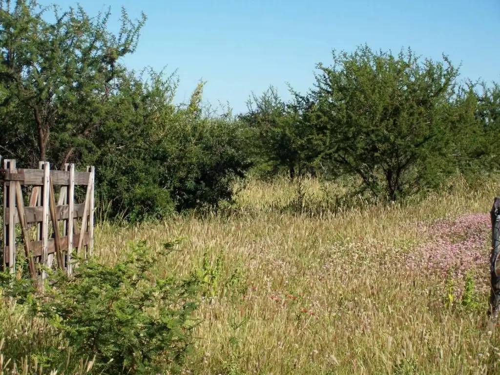 CHACRAS DE MONTAÑA/ZONA URITORCO/3 HA