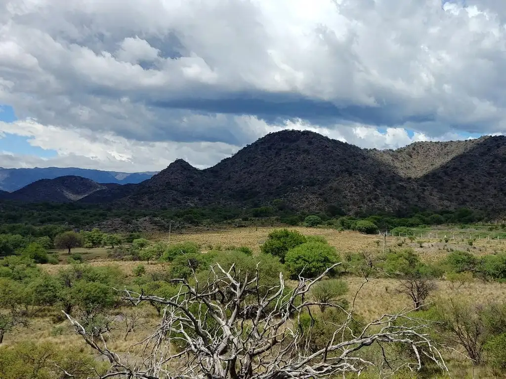 San Francisco  Del Monte De Oro,  chacra 40 hectareas sobre ruta , ESCRITURA INMEDIATA