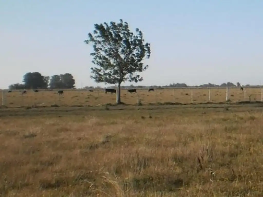 Campo en  Venta en El Rodeo