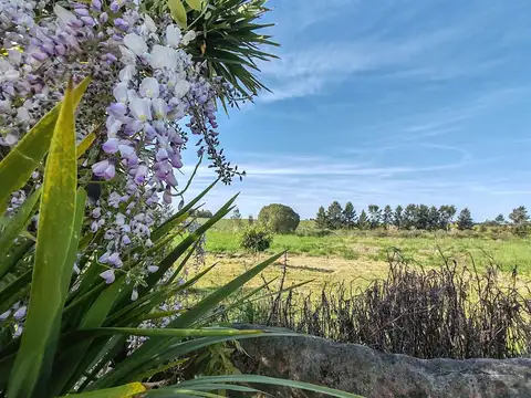 CHACRA EN SAN JACINTO, CANELONES. NATURALEZA y RELAX A 10 MINUTOS DE LA CIUDAD!