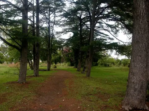 3,5 hectareas en venta, La Plata, Los Hornos - Foto 0