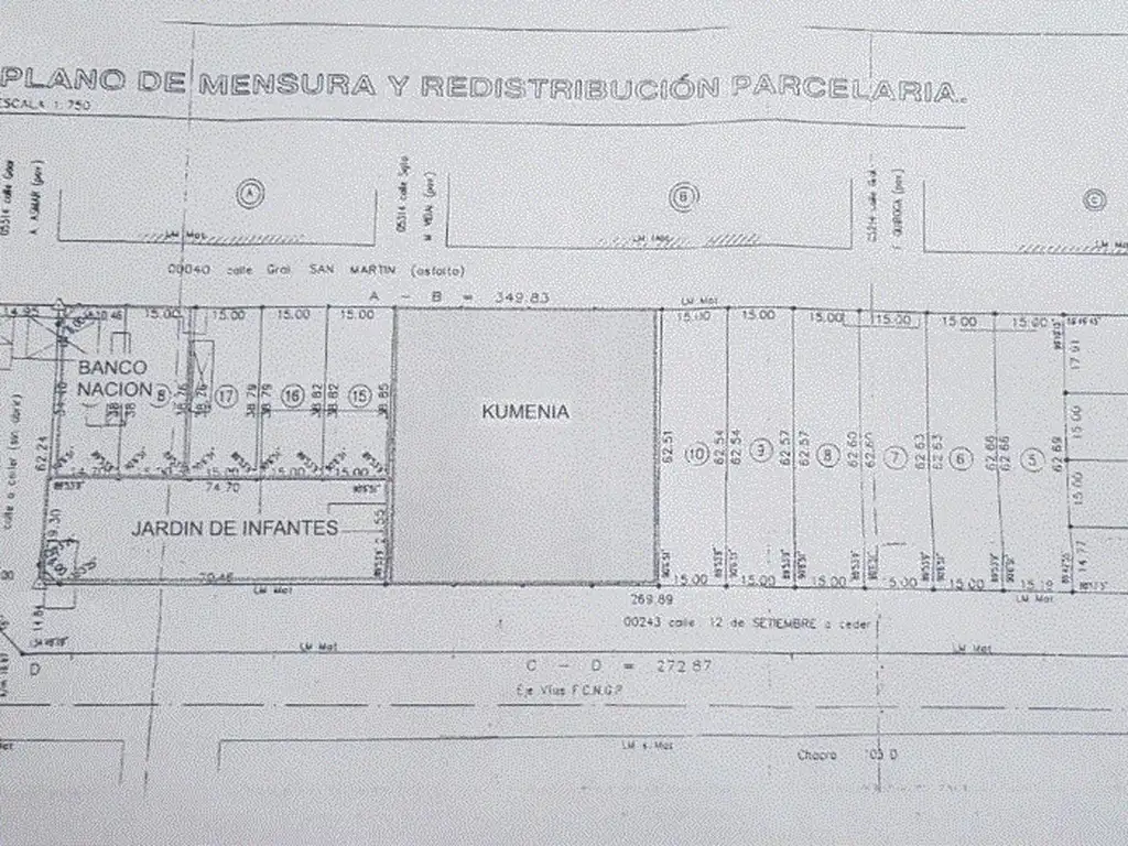 Terrenos San Martin 1800