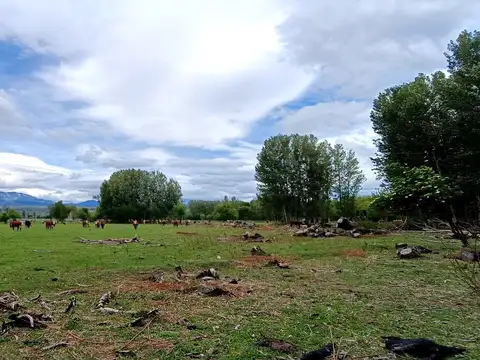 Campo en Venta -