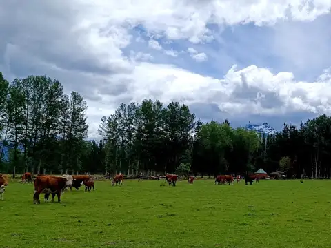 Campo en Venta en Aldea Escolar