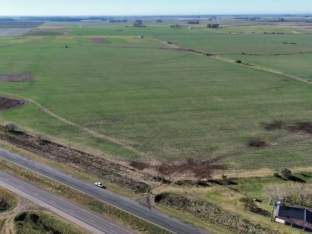 Vendo Campo 24 Hectáreas en Autovía 14 Km 110 Colonia Elia Entre Ríos