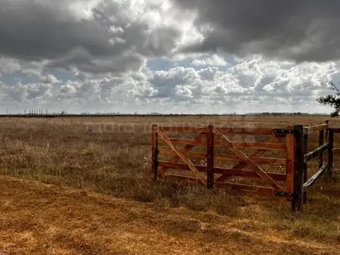 LOTES EN VENTA EN CHASCOMUS - DON CIPRIANO