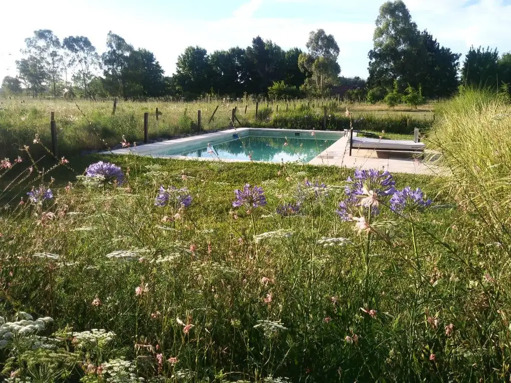 Campo en Alquiler en Asociación Argentina de Polo, Pilar GBA Norte - 6 ambientes