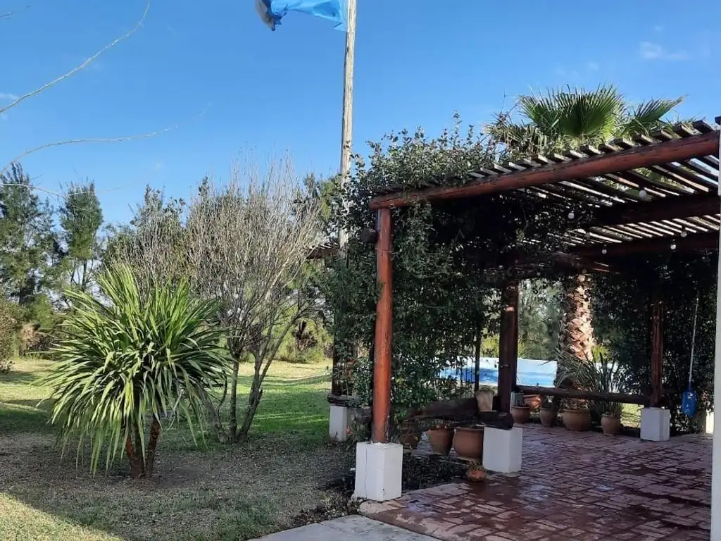 Salto Grande, casa quinta, campo de 11 ha, 9 productivas.