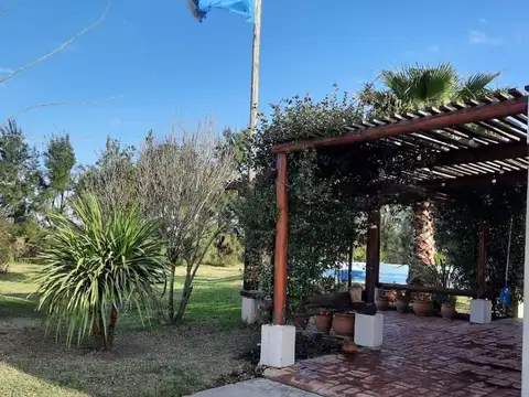 Salto Grande, casa quinta, campo de 11 ha, 9 productivas.