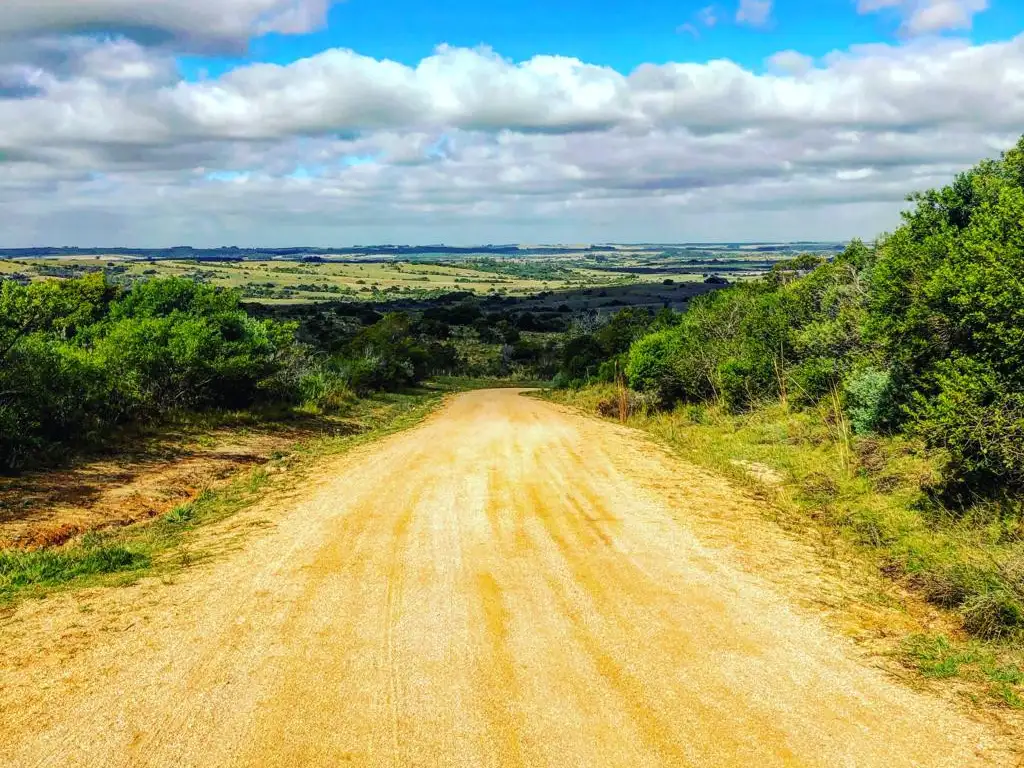 Quinta - Venta - Uruguay, JOSE IGNACIO