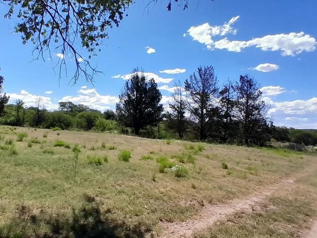 VENTA CAMPO MIXTO SALADILLO SAN LUIS