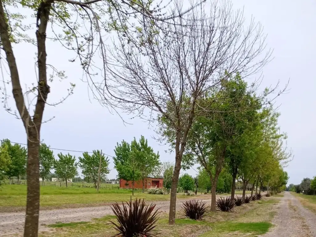 Terreno en venta - 5.000Mts2 - San Miguel del Monte