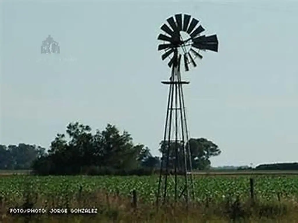 Campo en  Arminda