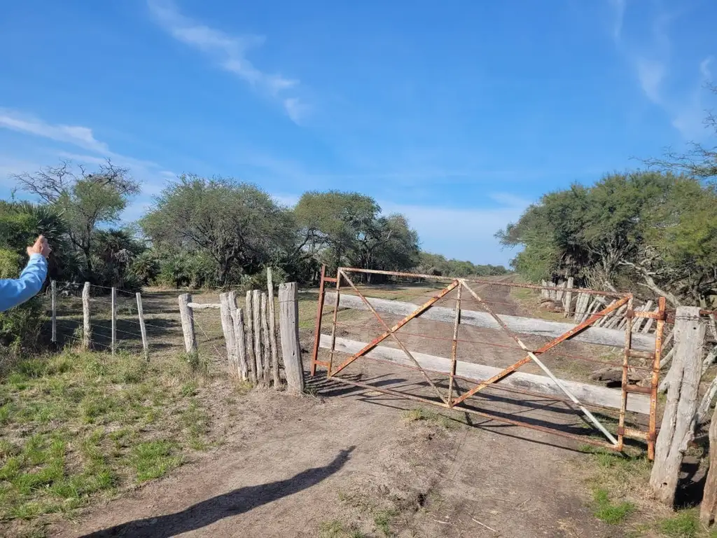 Campo Ganadero En Federal De 156 Has