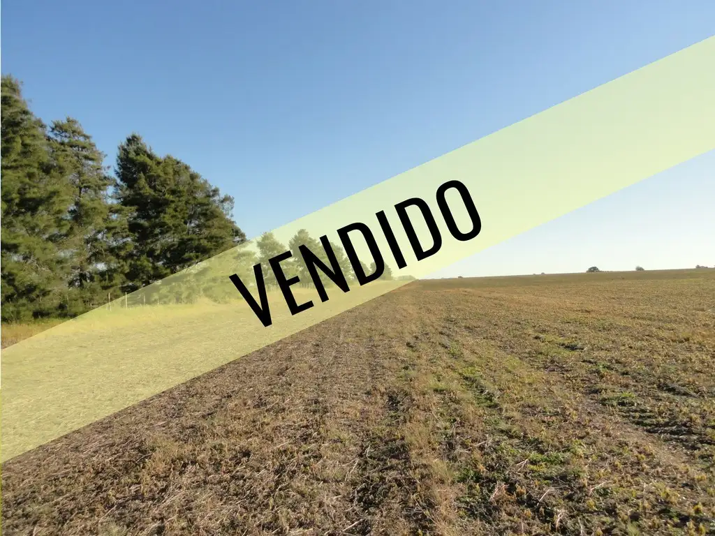 Campo en Venta