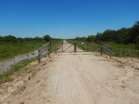 2350 has ganaderas de cría - Tostado - Santa Fe