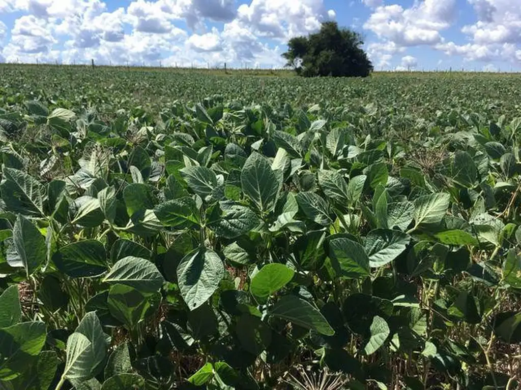 PROPIEDADES RURALES - AGRICOLA - ZONAS RURALES