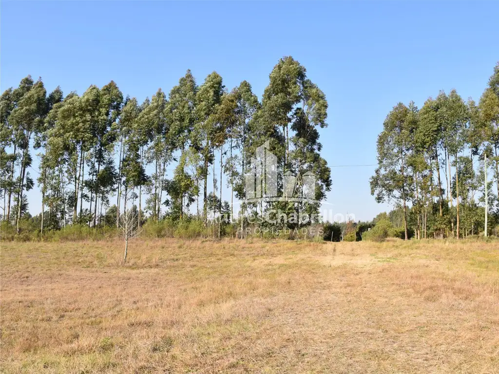 Terreno Sobre Ruta 015