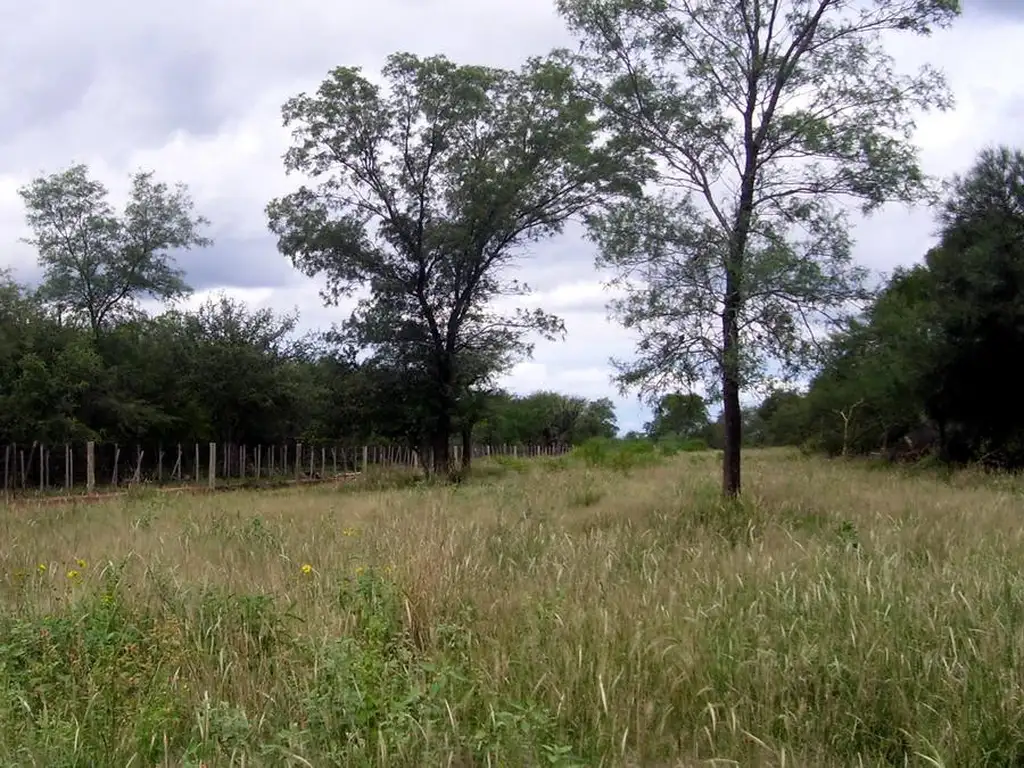 Campo Ganadero sobre Ruta 34