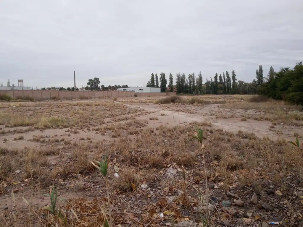 Vendo terreno de 28000 m2 en zona industrial, Maipú