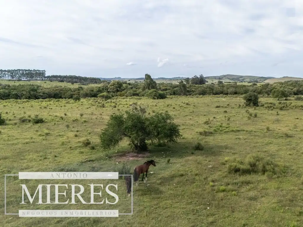 Chacra de 11ha Pueblo Edén con Arroyo