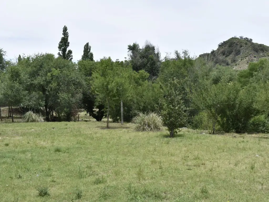 TERRENOS EN RIO GRANDE