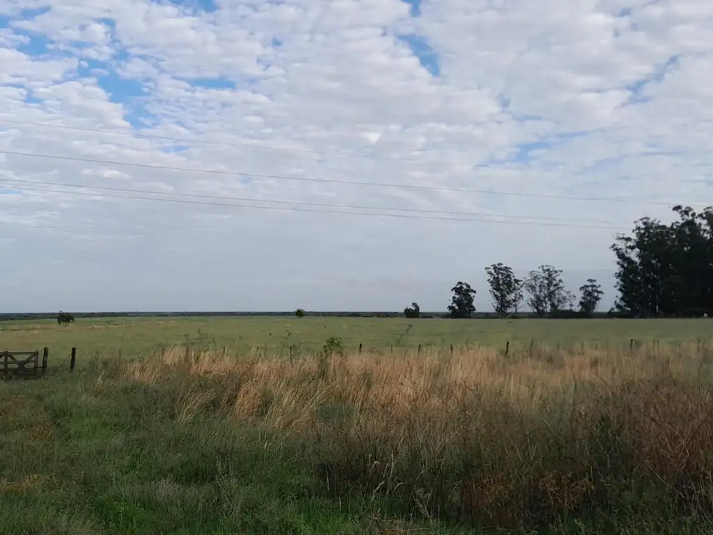 VENDO CAMPO DE 63 HAS. ENTRE RUTA Y RIO A SOLO 4KM DEL CENTR