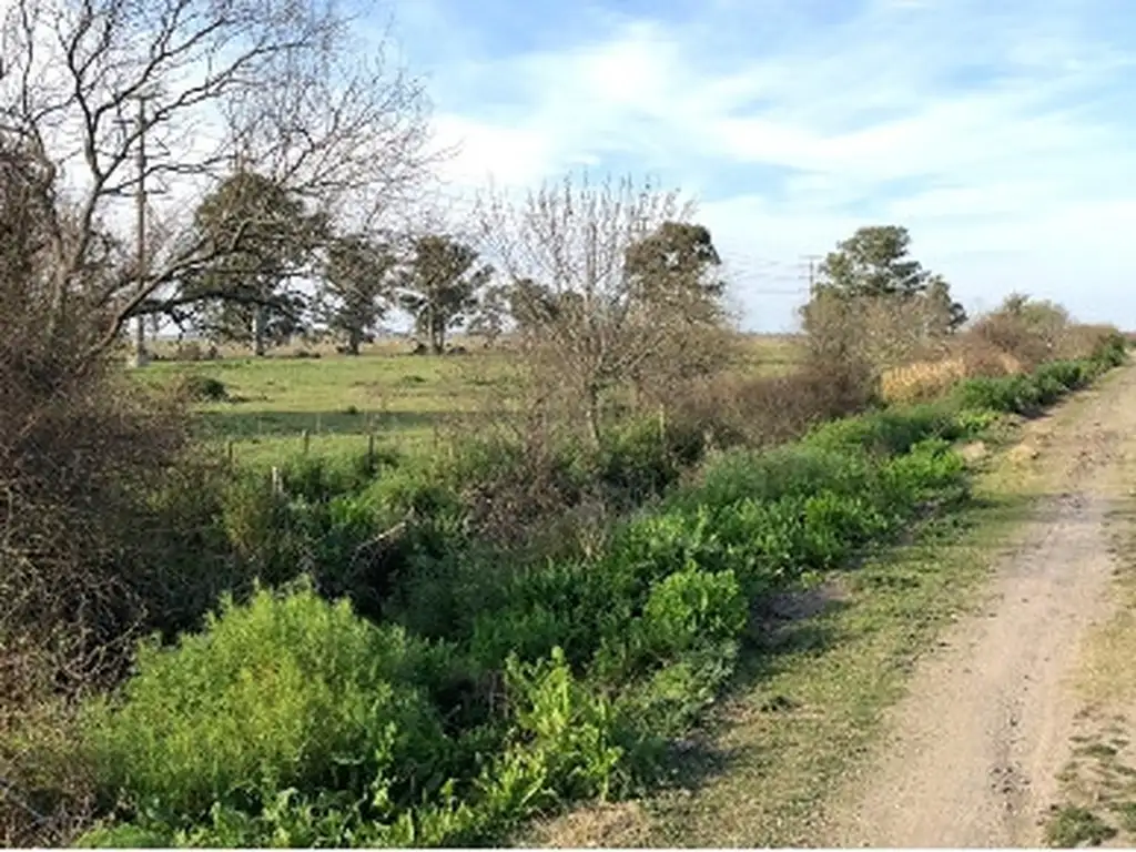 Campo en Venta en Punta Lara [Cod: -2071]