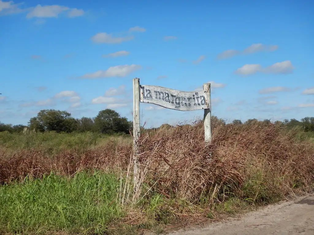 11520 has ganaderas de cría y recría - Tostado - Santa F