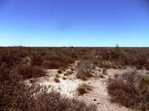 PROPIEDADES RURALES - CHACRA - PUERTO MADRYN