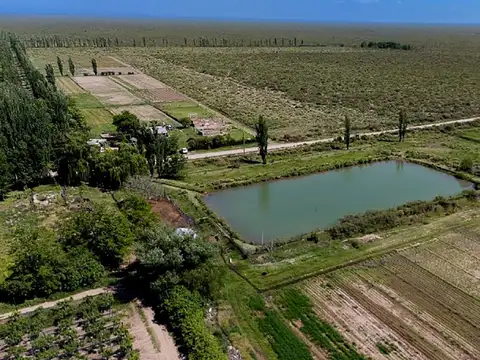 VENTA MAGNIFICA FINCA EN LAS PAREDES S. RAFAEL MDZ