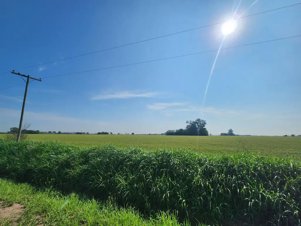 Campo 5,3 ha a 27 km de Rosario (Arroyo Seco Limite con Gral Lagos)