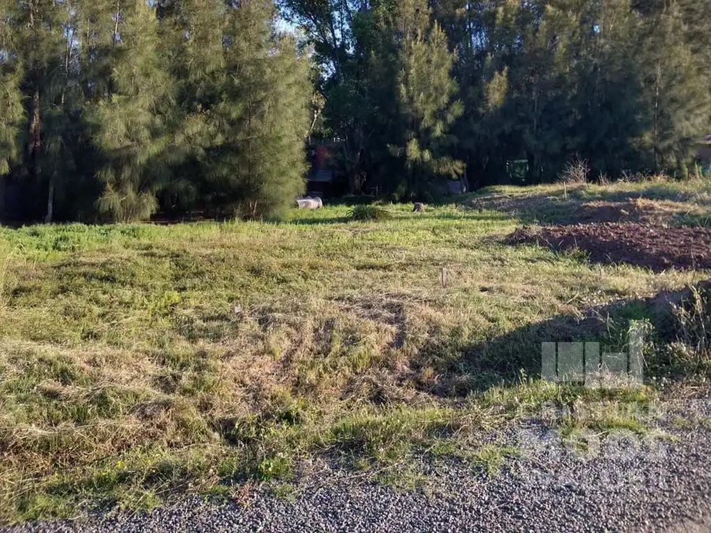 Terreno en Venta- La Pista