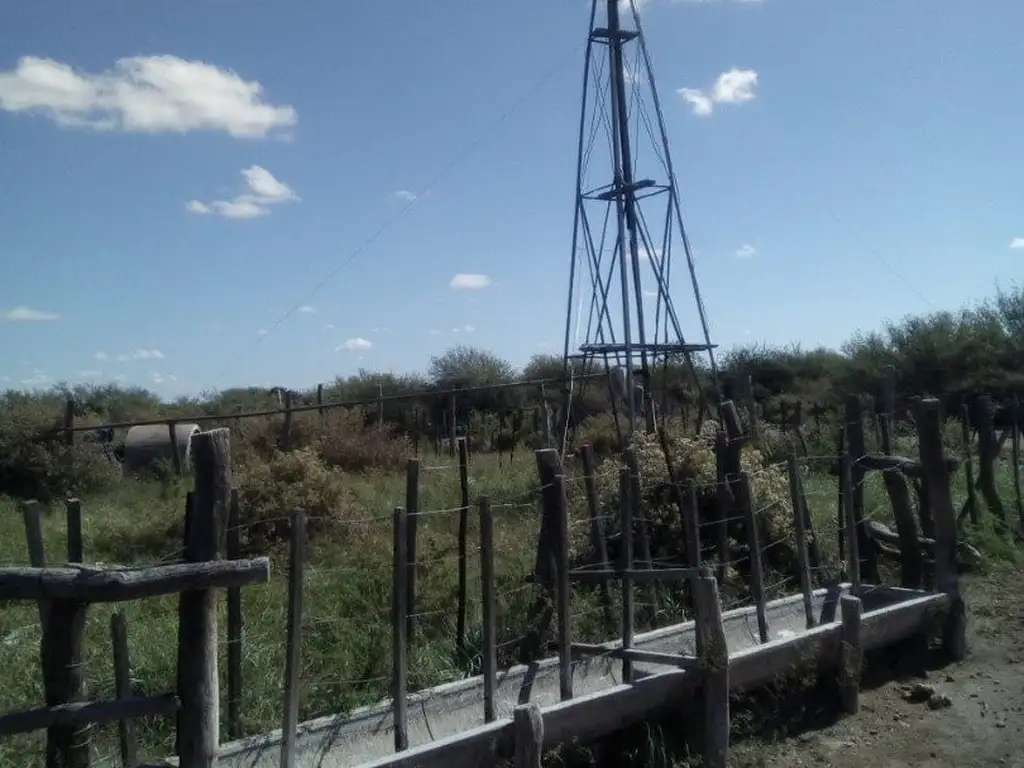 VENDO CAMPO GANADERO EN CARMENSA GENERAL ALVEAR MENDOZA