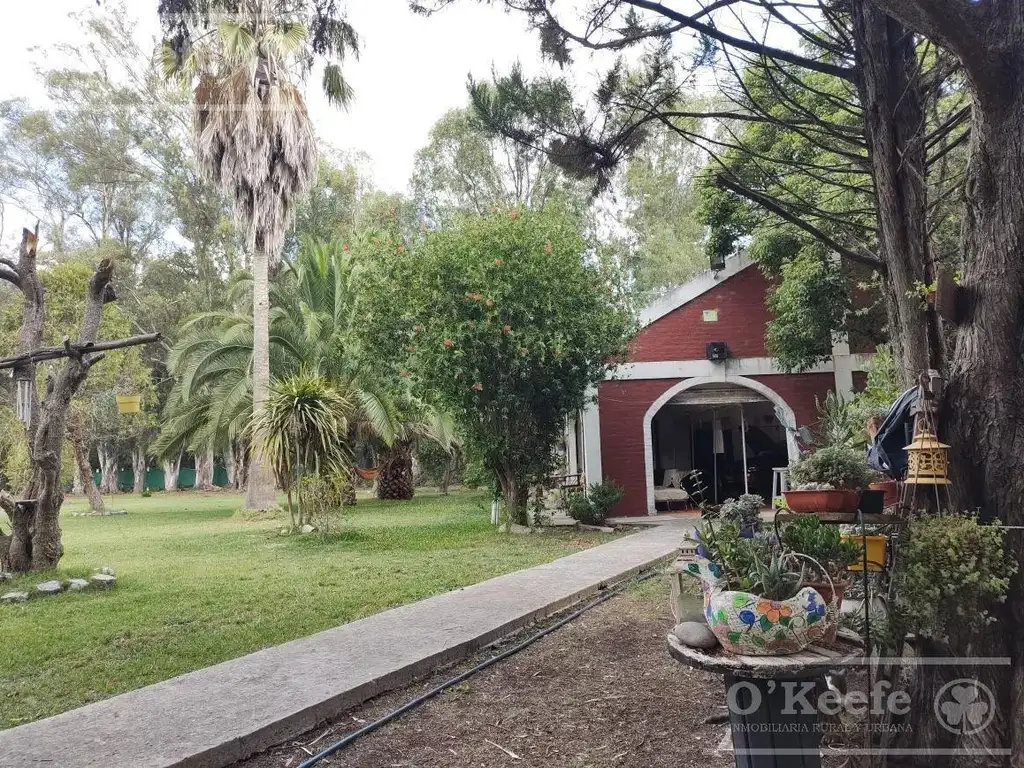 Quinta en venta en Arturo Segui, La Plata sobre lote de 6000 m2