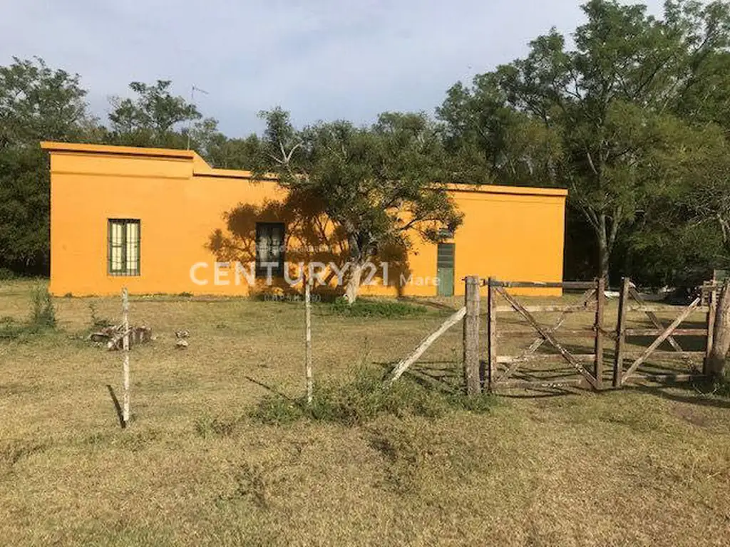 Campo - Venta - Argentina, Chascomús