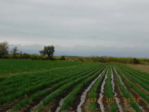 FINCA EN COBOS DPTO. DE GRAL. GUEMES