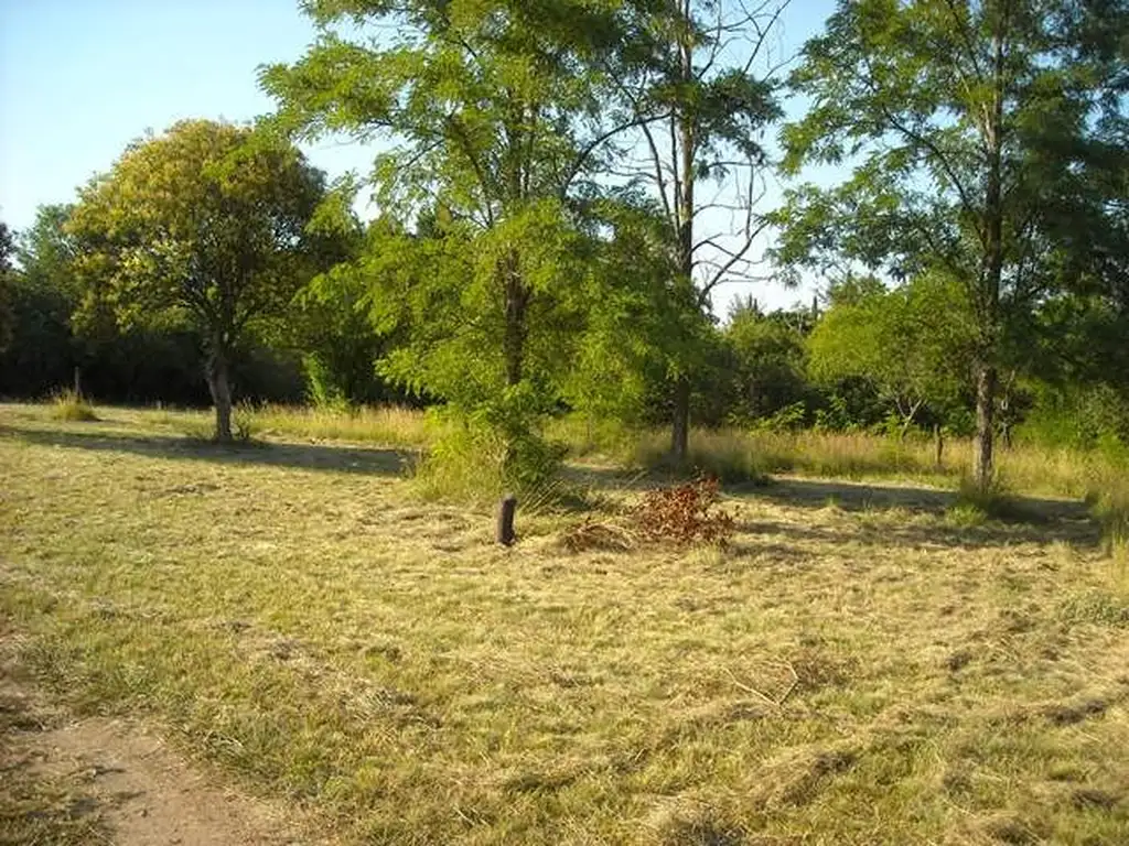 Lotes ubicado a 250 mts. del río (cód. 2113)