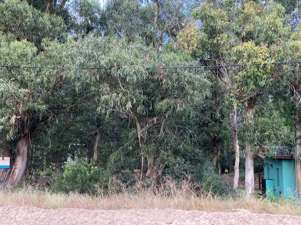 Lote en bosque de Mar De Las Pampas