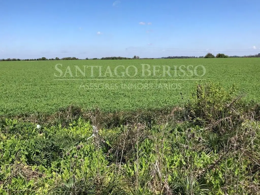 Terreno Fraccion  en Venta en Zárate, G.B.A. Zona Norte, Argentina